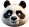 spinpanda-com.pages.dev favicon